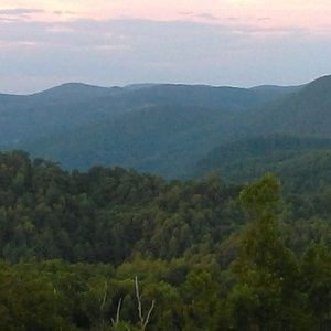 Meet your Posher, Henry